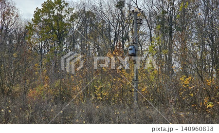 power transmission towers near forest in autumn with colorful leaves roadside view power transmission towers near forest in autumn with colorful leaves roadside view 140960818
