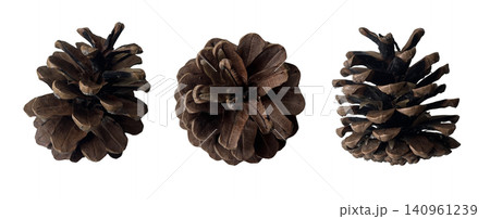 Brown Pine Cones Three Views Set Brown Pine Cones Three Views Set 140961239