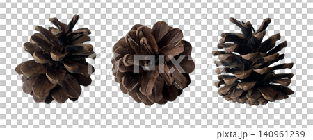 Brown Pine Cones Three Views Set Brown Pine Cones Three Views Set 140961239