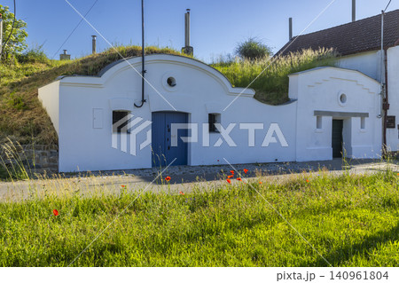 Traditional wine cellar with grass roof in Bzenec Traditional wine cellar with grass roof in Bzenec 140961804