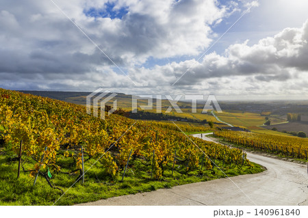 Hautvillers vineyard landscape in Autumn, Champagne region France Hautvillers vineyard landscape in Autumn, Champagne region France 140961840