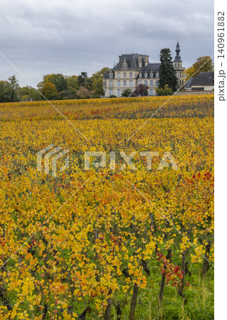 Vineyards with autumn foliage and Chateau de Gilly in Bourgogne, France Vineyards with autumn foliage and Chateau de Gilly in Bourgogne, France 140961882
