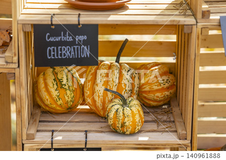 Decorative gourds in wooden crates celebrating harvest season 140961888