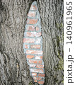 Fragment of brickwork inside the trunk of an old tree 140961965
