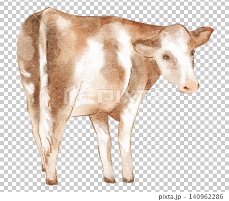Cow watercolor illustration brown cow isolated white background Cow watercolor illustration brown cow isolated white background 140962286