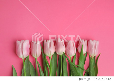 Beautiful spring tulips on pink background, flat lay. Space for text Beautiful spring tulips on pink background, flat lay. Space for text 140962742