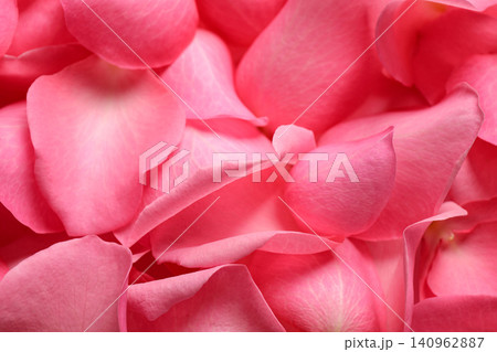 Fresh pink rose petals as background, closeup 140962887