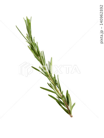 Fresh green rosemary isolated on white. Aromatic herb Fresh green rosemary isolated on white. Aromatic herb 140962892