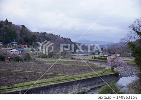 田んぼと満開の桜 田んぼと満開の桜 140963158