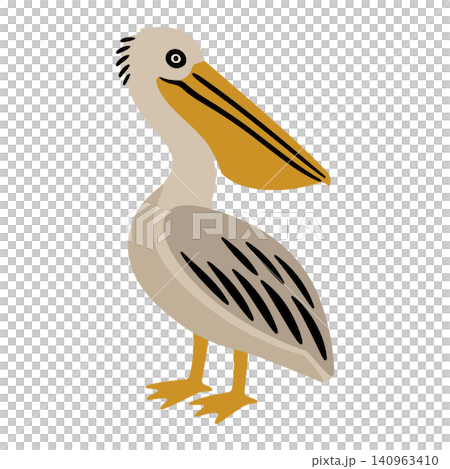 Pelican bird cartoon vector illustration Pelican bird cartoon vector illustration 140963410