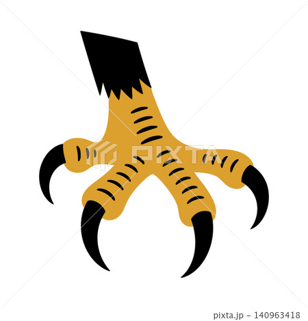 Bird claw vector illustration for wildlife design and educational materials Bird claw vector illustration for wildlife design and educational materials 140963418