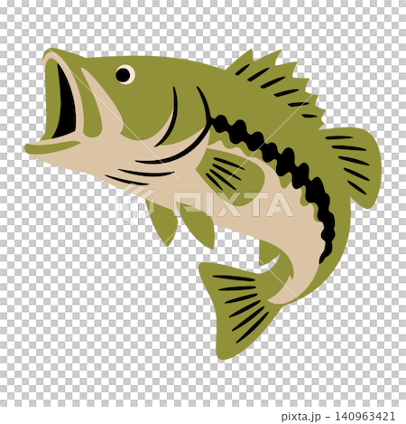 Large mouth bass fish in cartoon vector style for fishing logo and aquatic branding Large mouth bass fish in cartoon vector style for fishing logo and aquatic branding 140963421
