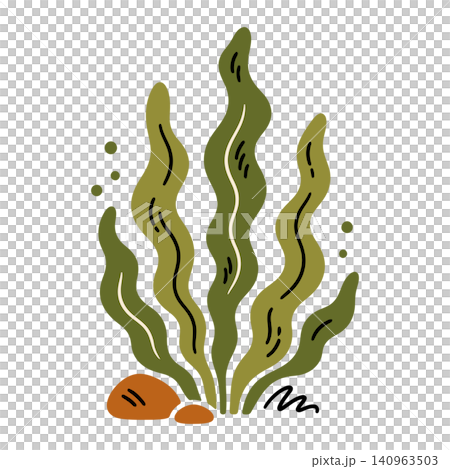 Seaweed plant illustration in minimalist flat vector style for ocean themed decor and design Seaweed plant illustration in minimalist flat vector style for ocean themed decor and design 140963503