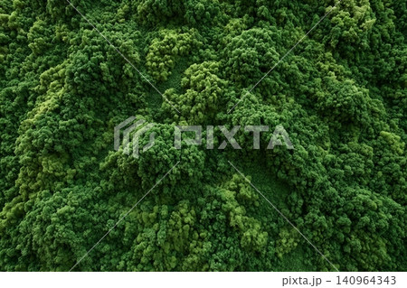 Lush green decorative stabilized moss covering vertical wall in contemporary office building, in natural light, providing a rich perspective on natural beauty and trendy interior design Lush green decorative stabilized moss covering vertical wall in contemporary office building, in natural light, providing a rich perspective on natural beauty and trendy interior design 140964343