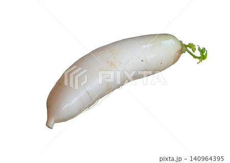 Daikon radishes Daikon radishes 140964395