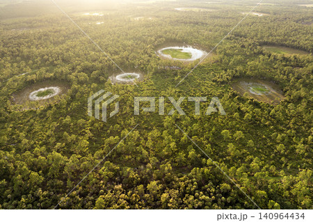 Florida wetlands with water between green wild vegetation. Tropical ecosystem at sunset Florida wetlands with water between green wild vegetation. Tropical ecosystem at sunset 140964434