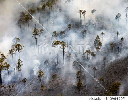 Raging wildfire engulfs Florida forest during drought season, with flames racing through dry vegetation and thick smoke covering the horizon 140964495