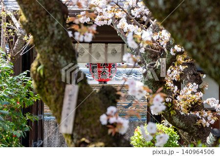 京都 雨宝院の桜 京都 雨宝院の桜 140964506
