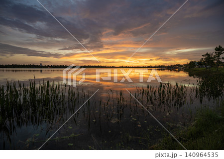Evening landscape over lake water in southern tropical wetlands. Amazing Florida nature at sunset 140964535