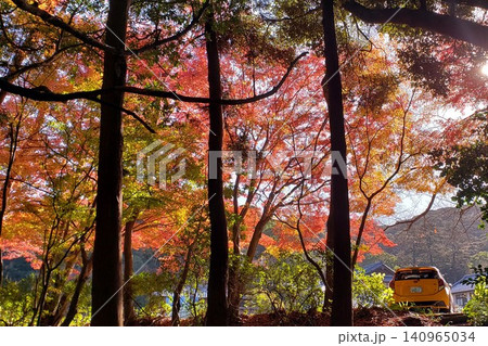 宗像市 鎮国寺の紅葉 宗像市 鎮国寺の紅葉 140965034