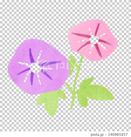 牽牛花的郵票風格插圖 牽牛花的郵票風格插圖 140965857