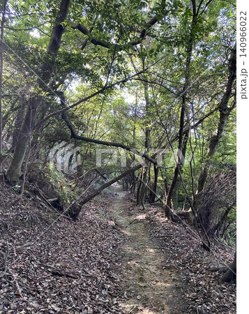 静かな森の中を続く自然の登山道 140966022