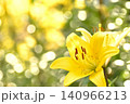 美しい百合の花 140966213