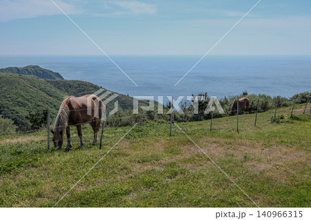 【西ノ島】赤尾展望所 【西ノ島】赤尾展望所 140966315