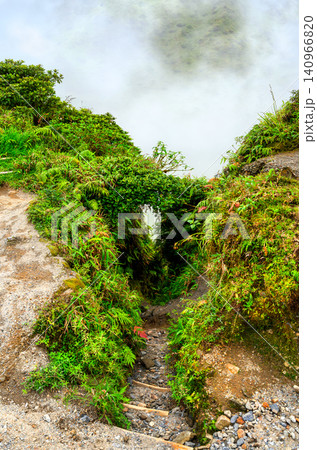 Scenic hiking path with wooden steps descending into the mist on Mount Pelee in Martinique, surrounded by lush tropical vegetation Scenic hiking path with wooden steps descending into the mist on Mount Pelee in Martinique, surrounded by lush tropical vegetation 140966820