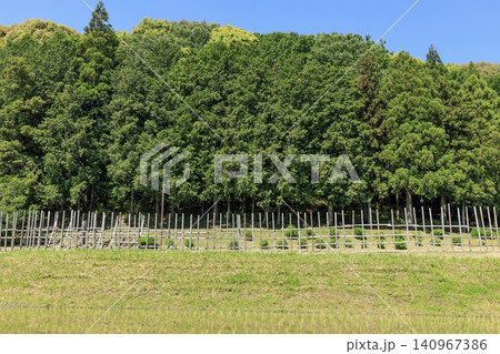 新城市、長篠・設楽原決戦場跡の復元馬防柵（武田軍視点） 140967386