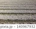 キレイに耕された畑 140967932