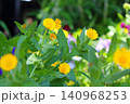 可愛らしく咲く黄色いお花と緑の葉っぱ 140968253