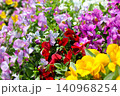 晴れの日に輝くカラフルなお花たち 140968254