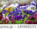晴れの日の鮮やかなお花たち 140968255