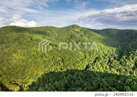 Appalachian mountains. Woods nature in summer season. Colorful forest in Tennessee 140968316