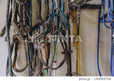 Horse bridle, Equestrian equipment, Leather belt line tack, Horse harness, Horse riding gear Horse bridle, Equestrian equipment, Leather belt line tack, Horse harness, Horse riding gear 140969706