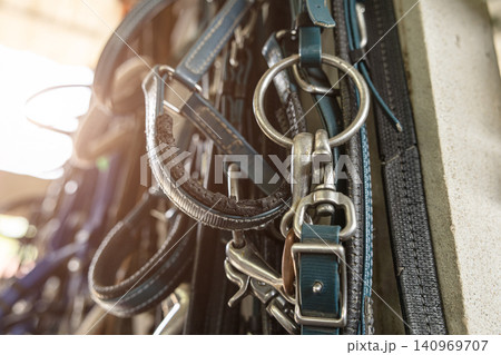 Horse bridle, Equestrian equipment, Leather belt line tack, Horse harness, Horse riding gear Horse bridle, Equestrian equipment, Leather belt line tack, Horse harness, Horse riding gear 140969707