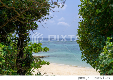 沖縄の海を望む緑に囲まれたビーチの風景 沖縄の海を望む緑に囲まれたビーチの風景 140971985