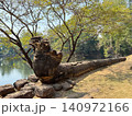 ロリュオス遺跡群のバコン寺院、参道沿いのナーガの石像、世界遺産、2026年1月撮影 140972166