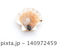 開いた生のイタヤガイ 140972459