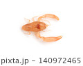 カクレエビ　オス　（タイラギ　イタヤガイなどに棲むカクレエビ） 140972465