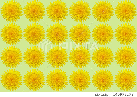 Summer pattern of blooming head of dandelion on green 140973178