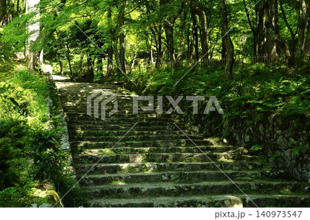 百済寺 新緑の参道 百済寺 新緑の参道 140973547