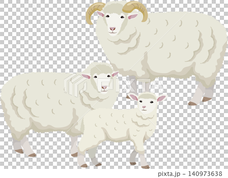 Parent and child sheep Parent and child sheep 140973638