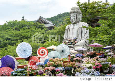 壺阪寺の紫陽花と大仏 140973647