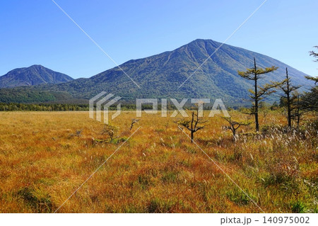 男体山を背景に草紅葉が広がる戦場ヶ原 10月日光280戦場ヶ原と男体山 男体山を背景に草紅葉が広がる戦場ヶ原 10月日光280戦場ヶ原と男体山 140975002