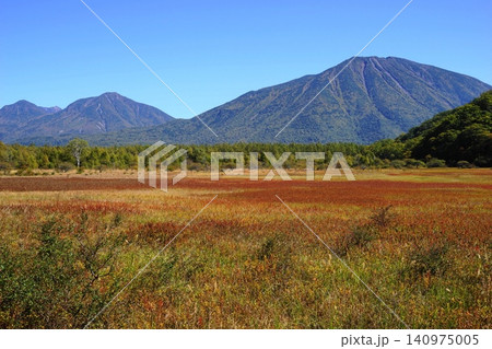 男体山を背景に草紅葉が広がる小田代原 10月日光298草紅葉・小田代原と男体山 男体山を背景に草紅葉が広がる小田代原 10月日光298草紅葉・小田代原と男体山 140975005