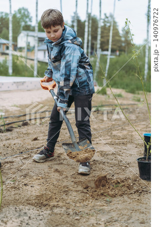 caucasian boy plants a dogwood shrub on their countryside property caucasian boy plants a dogwood shrub on their countryside property 140976722