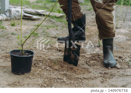 Close-up of a man's foot pressing a shovel into the ground to dig a planting hole for a dogwood shrub Close-up of a man's foot pressing a shovel into the ground to dig a planting hole for a dogwood shrub 140976738