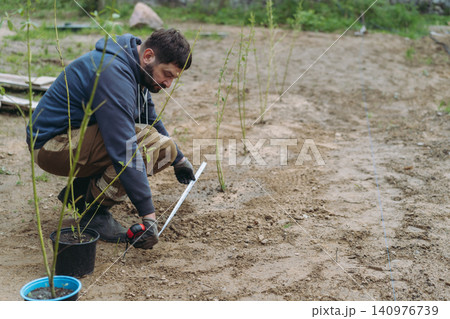 A man measures the spacing while planting dogwood saplings on his countryside property A man measures the spacing while planting dogwood saplings on his countryside property 140976739